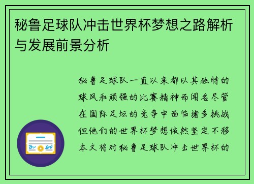 秘鲁足球队冲击世界杯梦想之路解析与发展前景分析