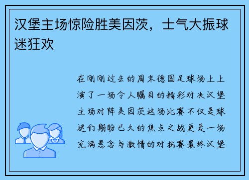 汉堡主场惊险胜美因茨，士气大振球迷狂欢